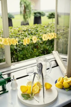 Alessi Juicy Salif citruspress, aluminium