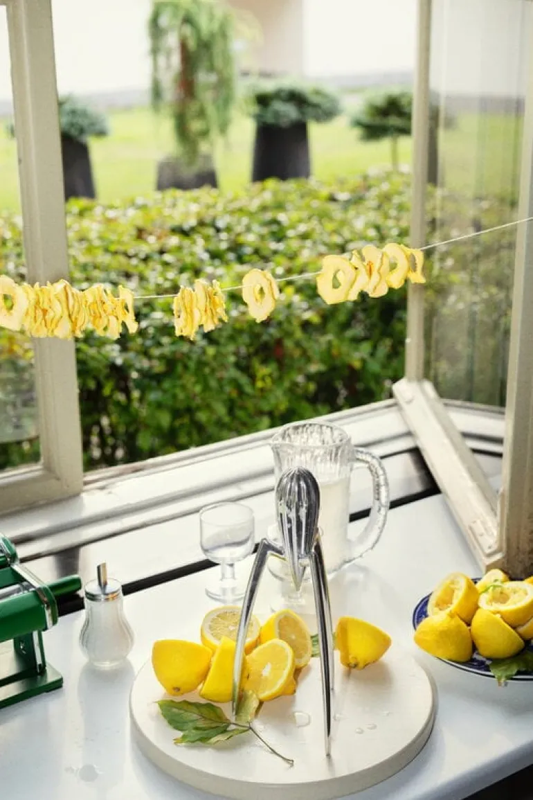 Alessi Juicy Salif citruspress, aluminium