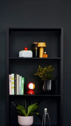 Alessi Juicy Salif citruspress, aluminium