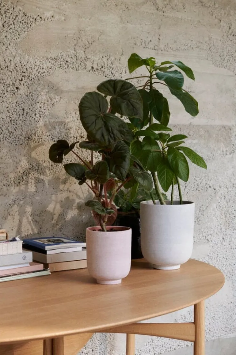 &Tradition Drop Leaf HM6 matbord, vitoljad ek