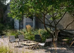 &Tradition Ville AV44 & AV45 dyna, Heritage Papyrus