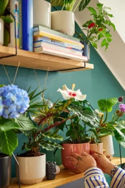 Arabia Ilona blomkruka, 100 x 120 mm, sand