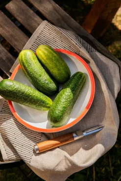 Arabia Mainio Sarastus kökshandduk