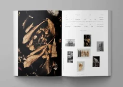 Ark Journal Ark Journal Vol. VII, omslag 1