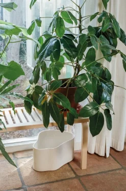 Artek Aalto bänk 153A, björk