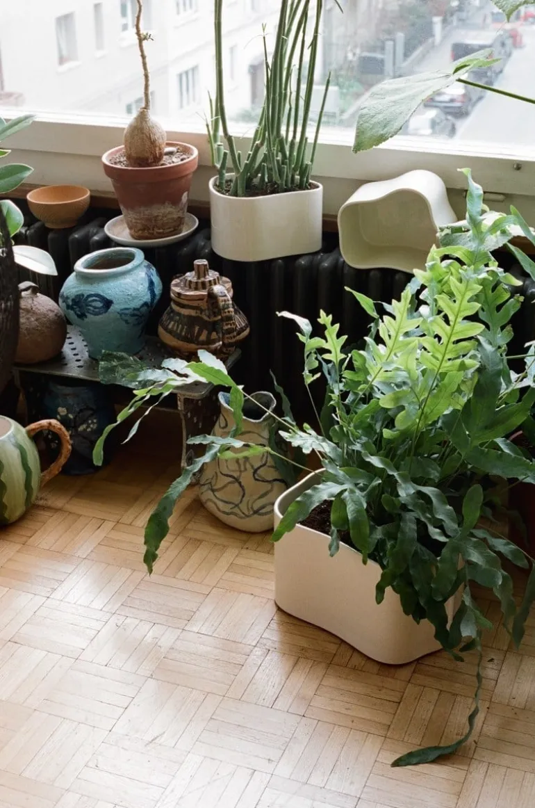 Artek Riihitie blomkruka A, liten, vitglansig