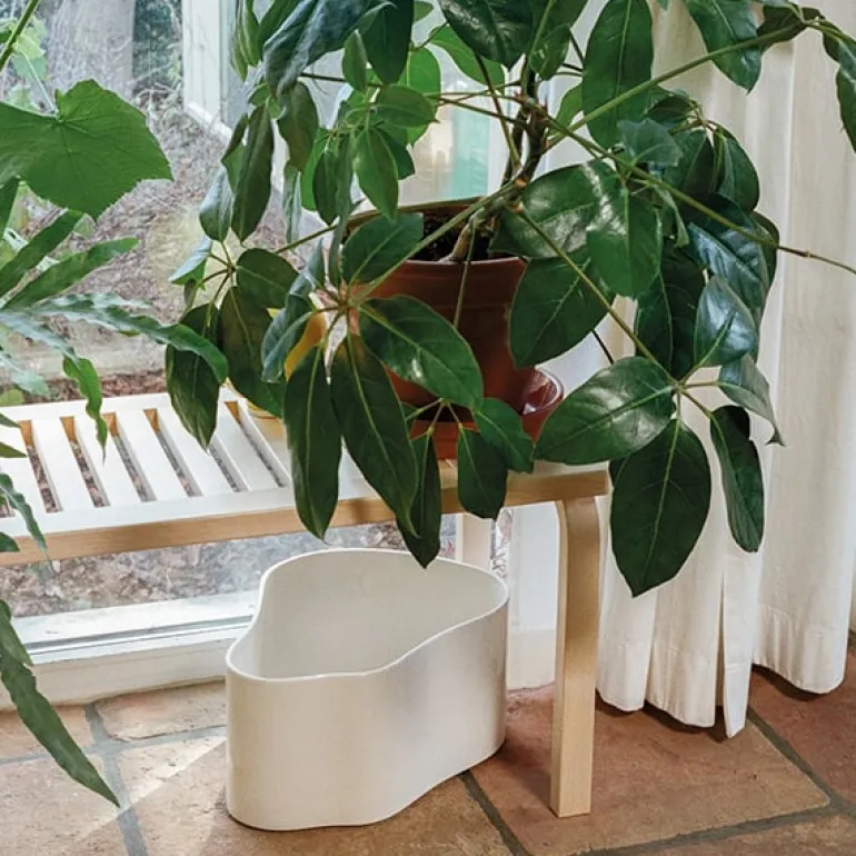 Artek Riihitie blomkruka A, stor, vitglansig