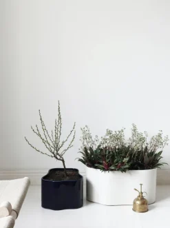 Artek Riihitie blomkruka A, stor, vitglansig