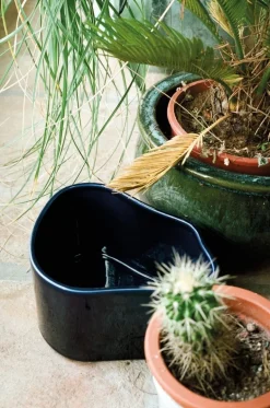 Artek Riihitie blomkruka A, liten, blåglansig