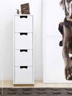 Asplund Snow J4 byrå