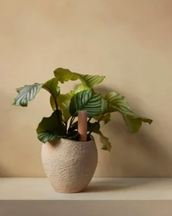 Audo Copenhagen Plantas blomkruka, 24 cm, elfenben