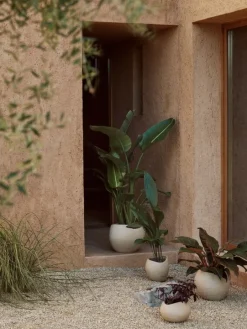 Audo Copenhagen Plantas blomkruka, 24 cm, elfenben