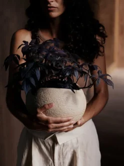 Audo Copenhagen Plantas blomkruka, 17 cm, elfenben