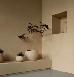 Audo Copenhagen Plantas blomkruka, 17 cm, elfenben