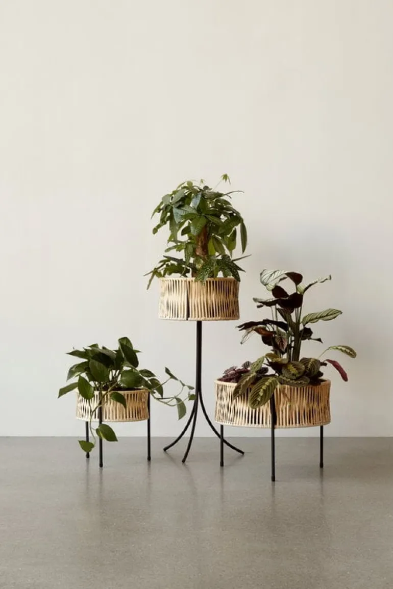 Audo Copenhagen Umanoff blomlåda, 69 cm, svart - rotting