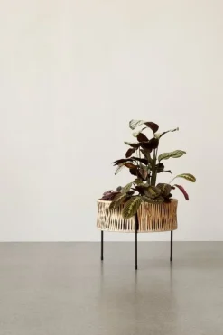 Audo Copenhagen Umanoff blompiedestal, 32,5 cm, svart - rotting