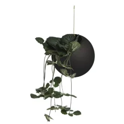 AYTM Globe hängande blomkruka, stor, svart - guld