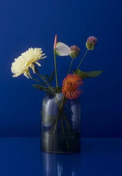 AYTM Tota ljuslykta, svart - blå