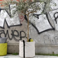 Bacsac Batyline kruka, asfalt