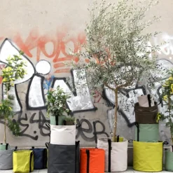 Bacsac Batyline kruka, brungrå