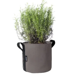 Bacsac Batyline kruka, brungrå