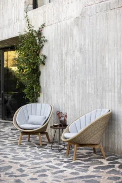 Cane-line Peacock fåtölj, teak - ljus naturell