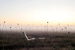 Carl Hansen & Søn BM5768 fotpall för däckstol, teak - off-white