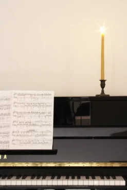 Collaboratorio Candela ljus, 31 cm, 6 st, honung