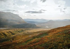 Cozy Publishing Food Over the Campfire - Recipes for Day Hikes and Wilderness Treks