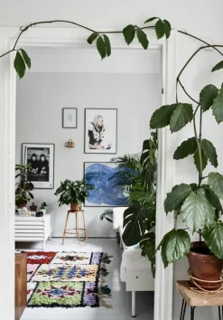 Cozy Publishing Green Home Book