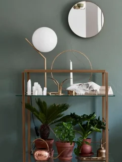 Cozy Publishing Green Home Book