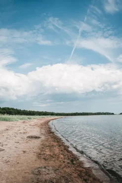 Cozy Publishing Hemgjort - Hemligheterna bakom tidlösa interiörer