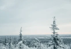 Cozy Publishing I Made This For You: Christmas Gifts&Decorations Crafted w/ Love