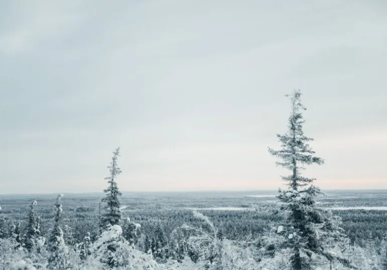 Cozy Publishing I Made This For You: Christmas Gifts&Decorations Crafted w/ Love