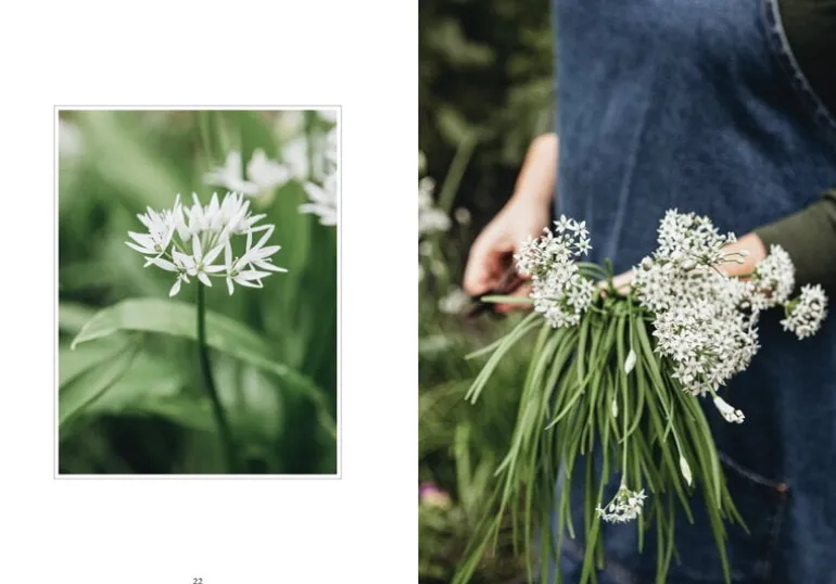 Cozy Publishing Living With Herbs