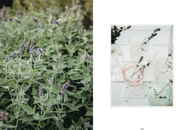 Cozy Publishing Living With Herbs