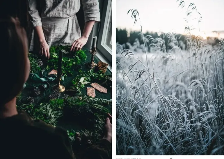 Cozy Publishing Nordisk Vinterkokbok