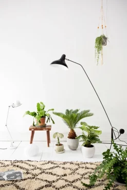 DCWéditions Mantis BS1-BL golvlampa