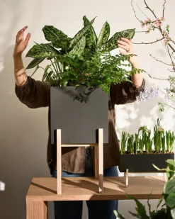 Design House Stockholm Botanic Pedestal kruka