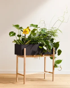 Design House Stockholm Botanic blompiedestal