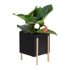 Design House Stockholm Botanic kruka