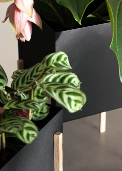 Design House Stockholm Botanic kruka