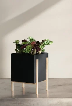 Design House Stockholm Botanic kruka