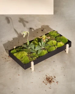 Design House Stockholm Botanic blomsterbricka