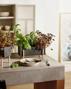 Design House Stockholm Botanic blomlåda