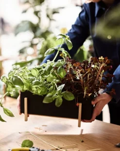 Design House Stockholm Botanic blomlåda