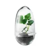Design House Stockholm Grow mini växthus, S