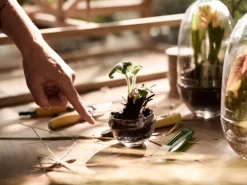 Design House Stockholm Grow mini växthus, S