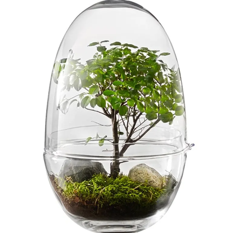 Design House Stockholm Grow miniväxthus, L