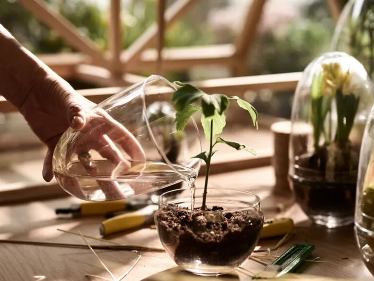 Design House Stockholm Grow miniväxthus, L